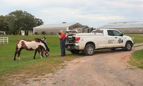 Mobile Veterinarian